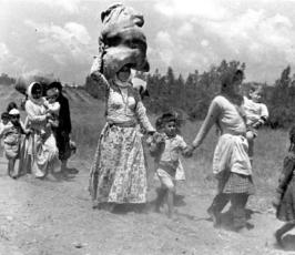 نكبة فلسطين .. ما لا تنساه الذاكرة