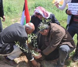بالصور:في ذكرى يوم الأرض.. غزيون يزرعون الأشجار على الحدود
