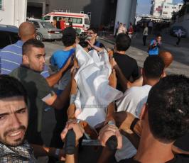 شهداء 2014
