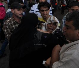 شهداء 2014