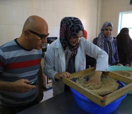 طهاة فلسطينيون وايطاليون  ‫(39518738)‬ ‫‬