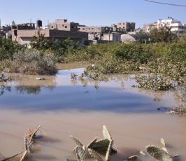عدسة فلسطين اليوم الإخبارية تتجول بين الأحياء المنكوبة بشارع النفق