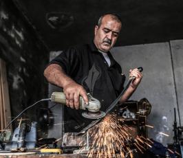 عدسةفلسطين اليوم خلال 2016 ‫(38011436)‬ ‫‬