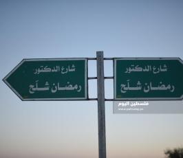 شارع ‫(1)‬.JPG
