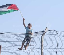 الاحتلال يعتدي على تظاهرة ضد مخطط "برافر" على حاجز حزما قرب القدس