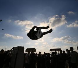 طلائع التحرير ‫(31094175)‬ ‫‬