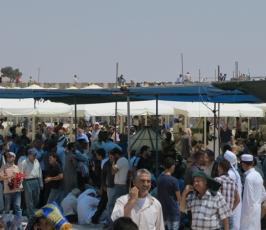 "البيارق" تسير 160 حافلة للصلاة بالأقصى