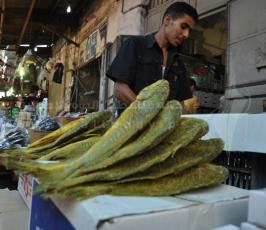 "الفسيخ".. الأكلة التي تُزين عيدَ الغزيين