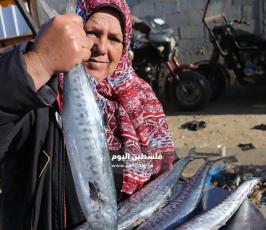 غزة امرأة فلسطينية تجاهد معاناة الحياة ببيع الأسماك في الأسواق (8).jpg