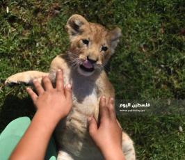 اشبال رفح ‫(302713027)‬ ‫‬.JPG