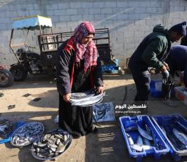 غزة امرأة فلسطينية تجاهد معاناة الحياة ببيع الأسماك في الأسواق (9).jpg