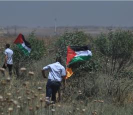 بالصور: الفلسطينيون يحيون ذكرى النكبة الـ66 على احتلال فلسطين