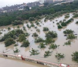  بالصور:جانب من آثار المنخفض الجوي في حي الزيتون شرق مدينة غزة