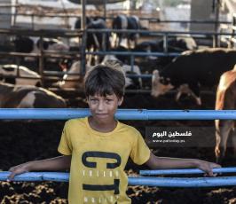 اضحى 2020 ‫(1)‬ ‫‬.jpg