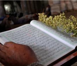 مواطنون من غزة يرتلون القراءن في المسجد العمري الكبير في الثامن من رمضان المبارك