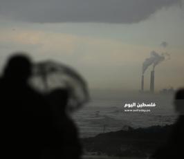 منخفض  (2).JPG