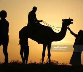  سباق الهجن على أرض مطارغزة  الدولي ‫(38928909)‬ ‫‬.jpeg