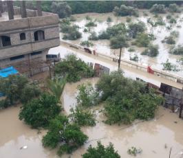  بالصور:جانب من آثار المنخفض الجوي في حي الزيتون شرق مدينة غزة