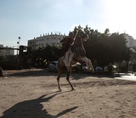 سباق خيول تضامن مع القدس ‫(38535681)‬ ‫‬