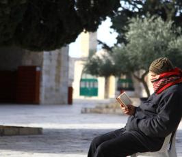 المرابطون في ساحات المسجد الاقصى يمنعون اعضاء حزب الليكود من تدنيس الاقصى