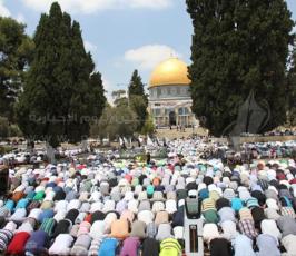 نحو 350 الف مواطن يؤدون صلاة الجمعة الثانية في رحاب الأقصى