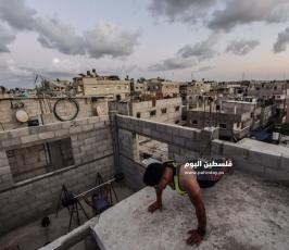 كمال اجسام  ‫(253040608)‬ ‫‬.jpg