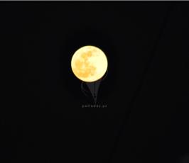 بالصور:مناظر خلابة من غزة