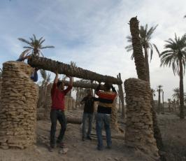 نشطاء فلسطينيون يقيمون قرية ‘عين حجلة‘ رفضاً لتهويد الاغوار