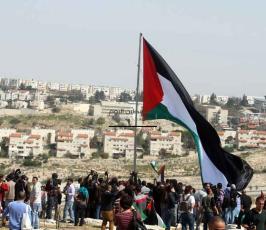 نشطاء يقيمون قرية "أحفاد يونس" مقابل مستوطنة "معالي ادوميم" قرب القدس
