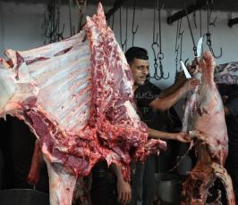 عيد الاضحى