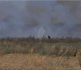 بالصور: الفلسطينيون يحيون ذكرى النكبة الـ66 على احتلال فلسطين