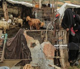  المناطق العشوائية في قطاع غزة (2).JPG