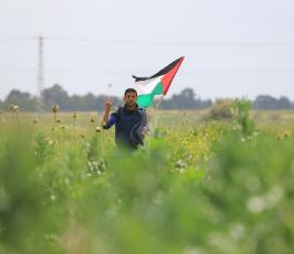  ذكرى يوم الأرض ‫ ‫(29876623)‬ ‫‬
