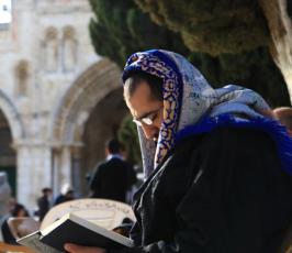 المرابطون في ساحات المسجد الاقصى يمنعون اعضاء حزب الليكود من تدنيس الاقصى