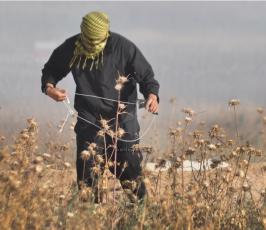 بالصور:مواجهات بين الشبان الفلسطينيين و قوات الإحتلال شرق جباليا