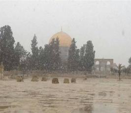 بالصور الثلوج تسقط على مدن الضفة والقدس