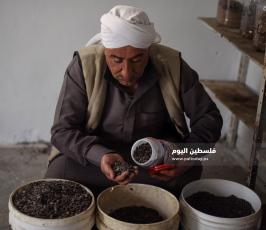 بنك البذور ‫(174278531)‬ ‫‬.jpg