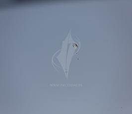  طائرات ورقية مذيلة بزجاجات حارقة شرق غزة ‫(43844111)‬ ‫‬.jpg