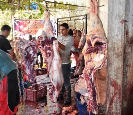 حركة الجهاد تنفذ مشروع الأضاحي