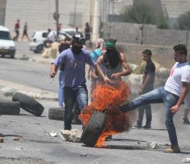 شهداء الضفة2014