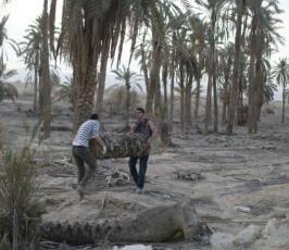 نشطاء فلسطينيون يقيمون قرية ‘عين حجلة‘ رفضاً لتهويد الاغوار
