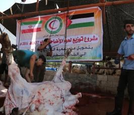  توزع لحوم الأضاحي على 25 ألف أسرة فلسطينية (8)