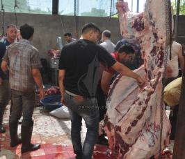 حملة بنيان مرصوص التى اطلقتها الجهاد الاسلامى فى العيد