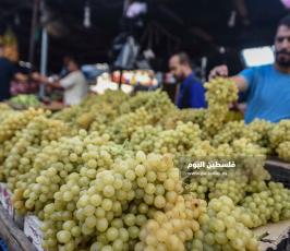 عنب ‫(174473801)‬ ‫‬.jpg