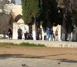المرابطون يفشلون محاولات الجماعات اليهودية بتدنيس الأقصى ومواجهات مع الاحتلال