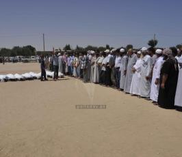 شهداء2014