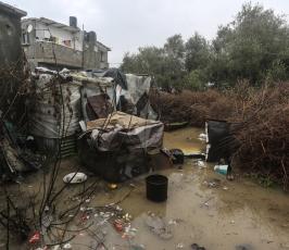 منخفض ‫(39191046)‬ ‫‬
