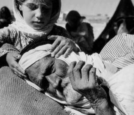 نكبة فلسطين .. ما لا تنساه الذاكرة