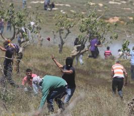 خاص فلسطين اليوم...الاحتلال يقمع مسيرة سلمية منددة بالإستيطان في دير جرير شرقي رام الله