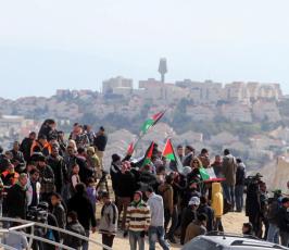 خاص فلسطين اليوم..قرية باب الشمس من البداية حتى الترحيل